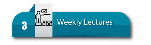 3. Weekly Lectures